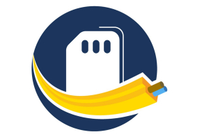 BW4949 - Copying Tool for Chip Cards for Bihl+Wiedemann Products, License