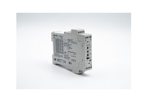 Electronic Speed Monitor EDW 600